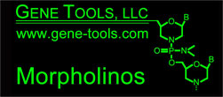 gene-tools.com